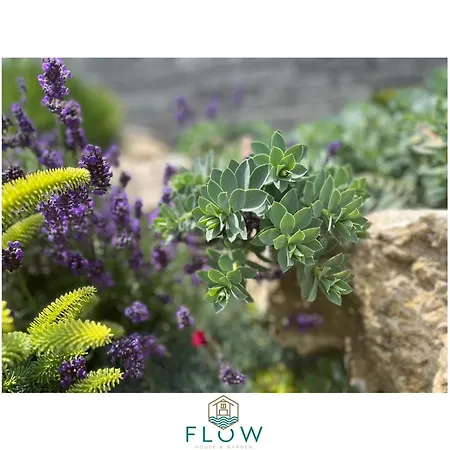 Flow House&garden וילה *