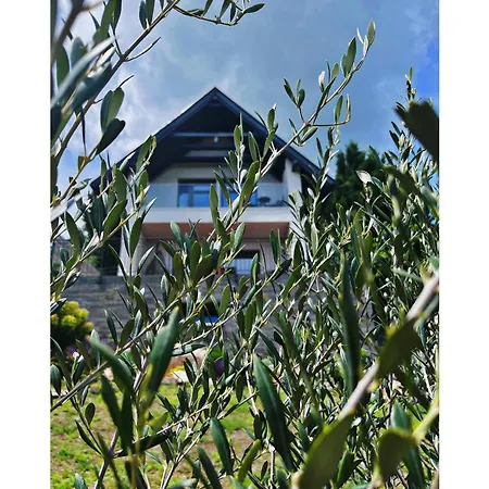 Flow House&garden *