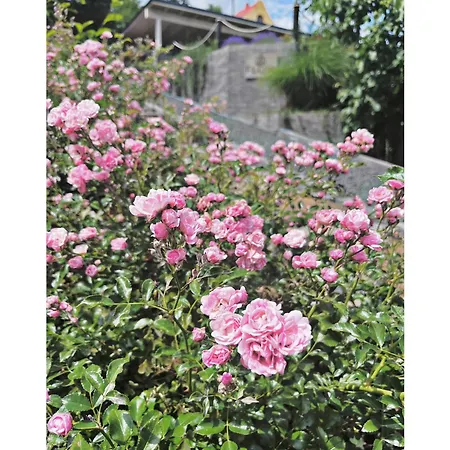 Villa Flow House&garden
