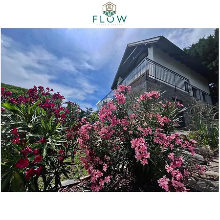 Villa Flow House&garden Badacsonytomaj