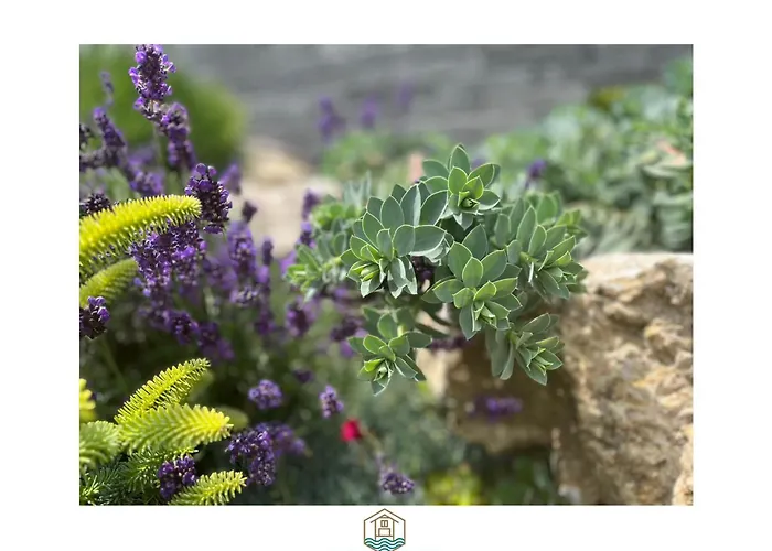 Flow House&garden Villa *