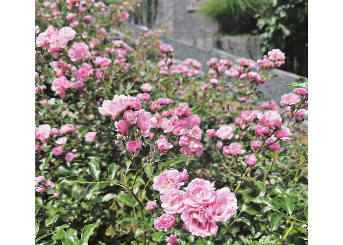 Villa Flow House&garden